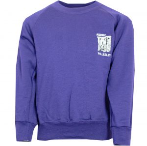 Logo School Sweatshirt Willesley Primary School