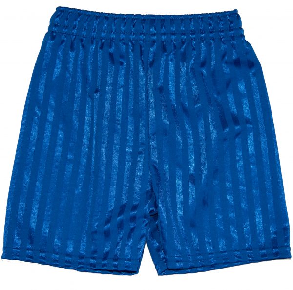 Royal Blue Shorts