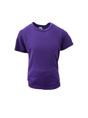 Purple P.E T shirt (Willesley print on Back)